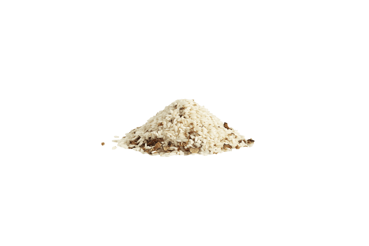 Risotto met zomertruffel