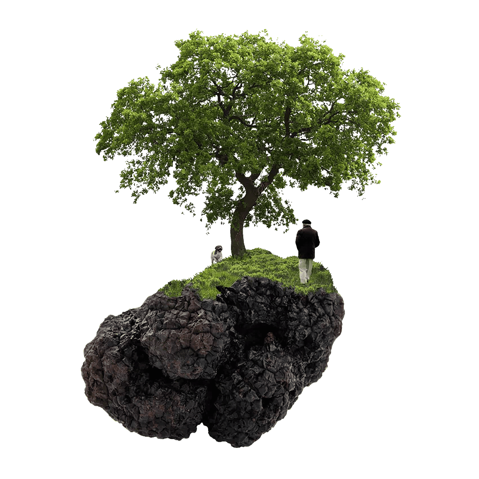 Diepgevroren gehakte zomertruffel met extra vergine olijfolie en zout